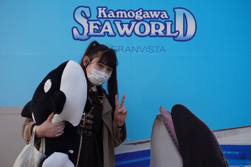 ゆうゆちゃんとシャチのコラボ